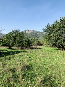 DJI 20251113 144800 636