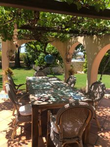 Tuin 4