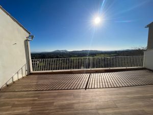 Terraza 1